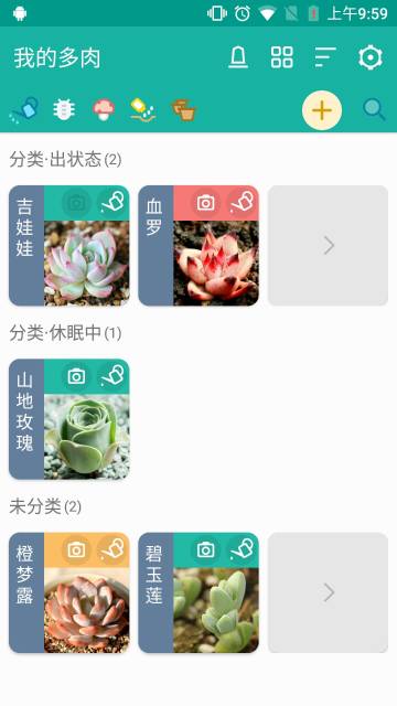 多肉成长记介绍图