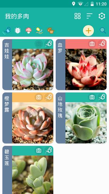 多肉成长记介绍图