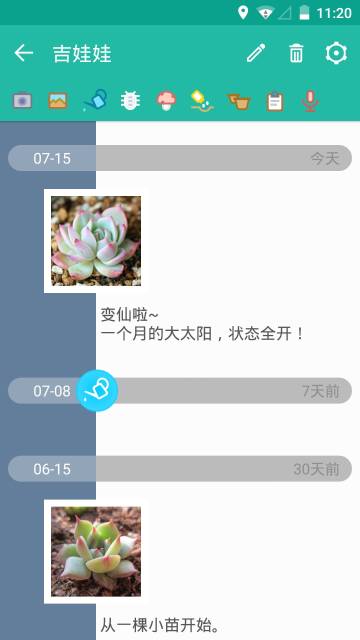 多肉成长记介绍图