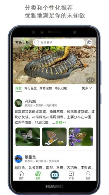万物头条介绍图