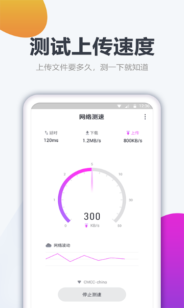 测网速大师介绍图