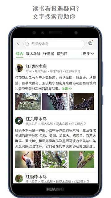 万物头条介绍图
