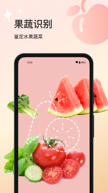 花卉识别介绍图