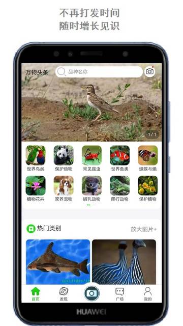 万物头条介绍图