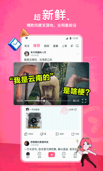 皮皮虾介绍图