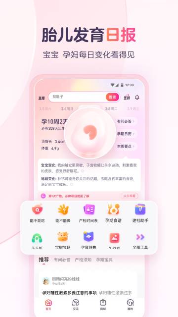 宝宝树孕育介绍图