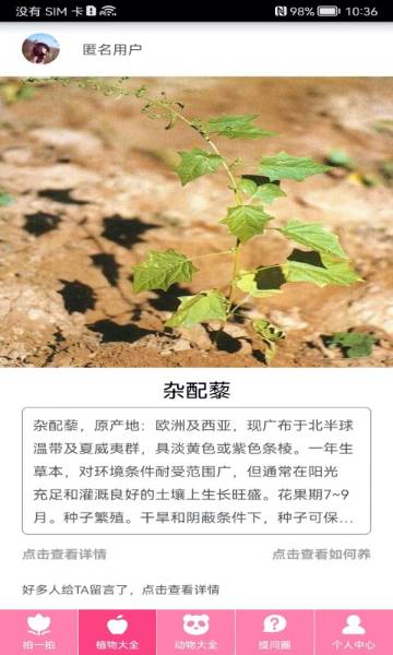 拍照识物介绍图