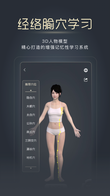 经脉宝介绍图