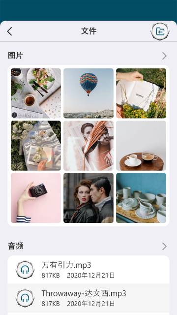 微铂介绍图