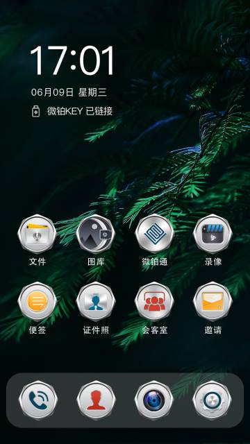 微铂介绍图