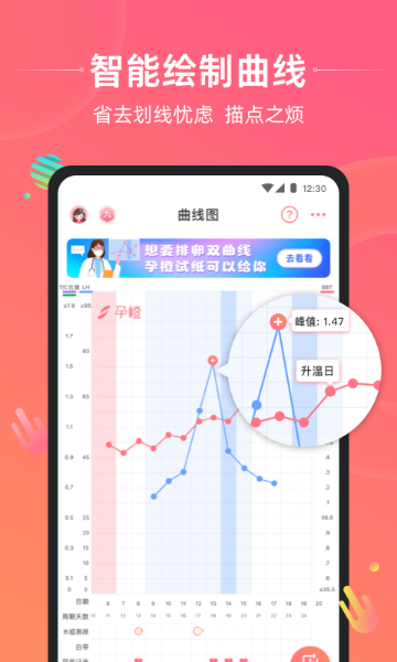 孕橙介绍图
