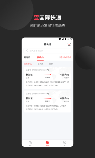 顺丰国际介绍图