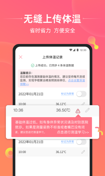 孕橙介绍图