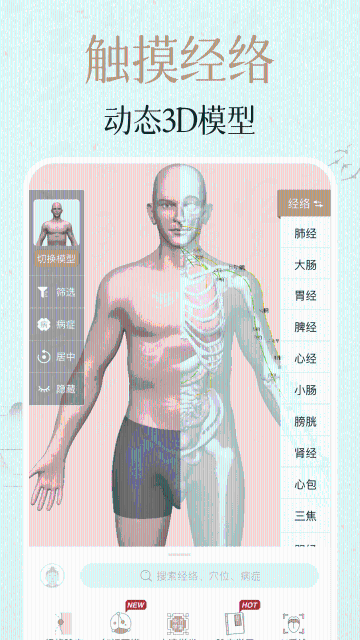 中济经络穴位介绍图