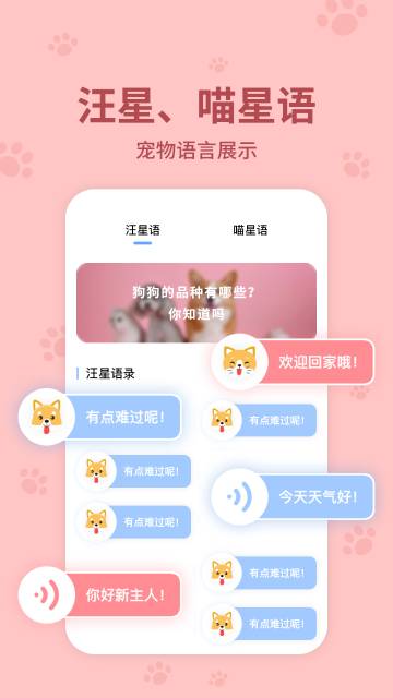 动物翻译器介绍图