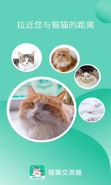 猫猫交流器介绍图