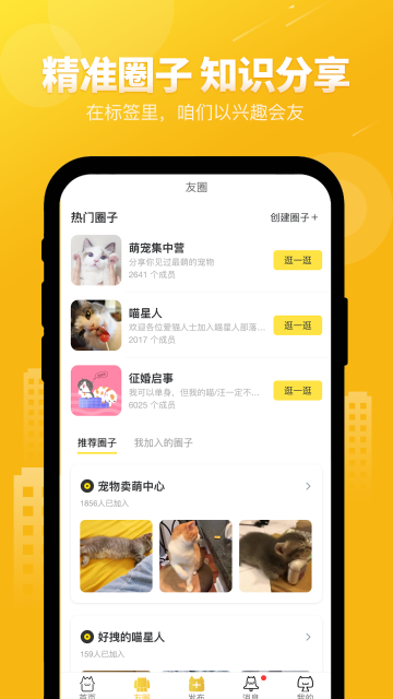 友猫介绍图