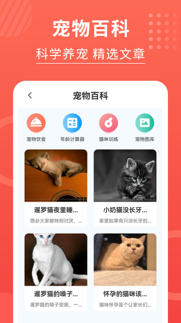 猫猫翻译器介绍图