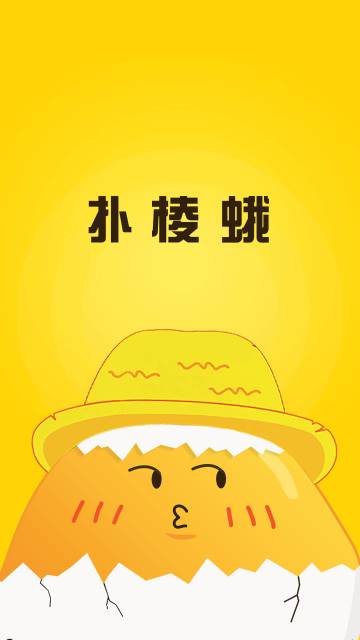 扑棱蛾介绍图
