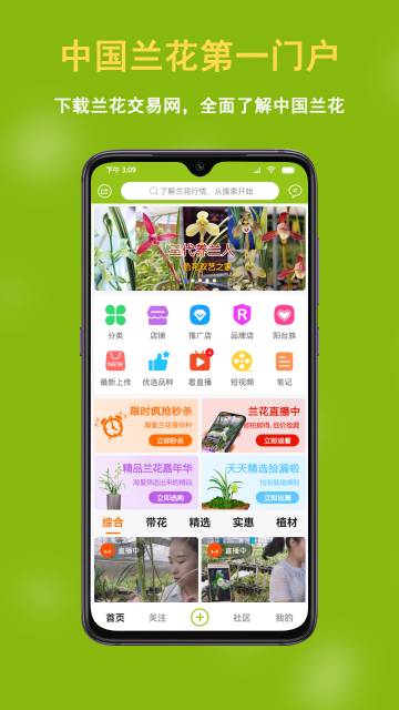 兰花交易网介绍图