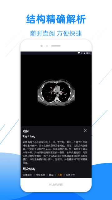 影像解剖图谱介绍图