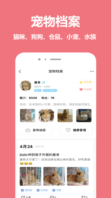 宠物王国介绍图