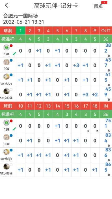 高球玩伴介绍图
