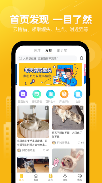 友猫介绍图