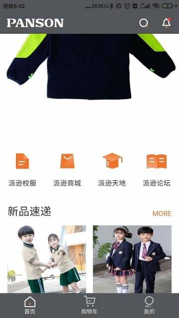 派逊通介绍图