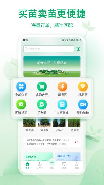 苗仓介绍图