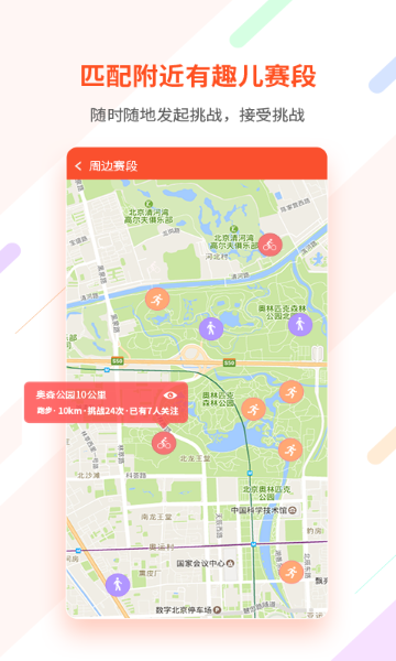 郁金香运动介绍图