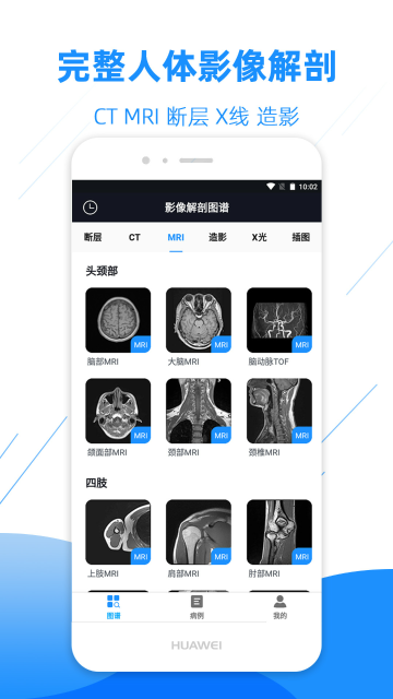 影像解剖图谱介绍图