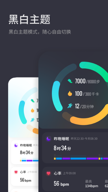 黑加介绍图