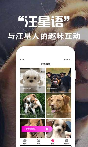 狗语翻译交流器介绍图