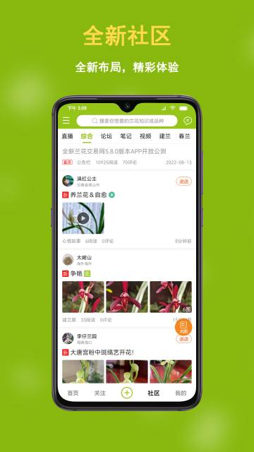 兰花交易网介绍图
