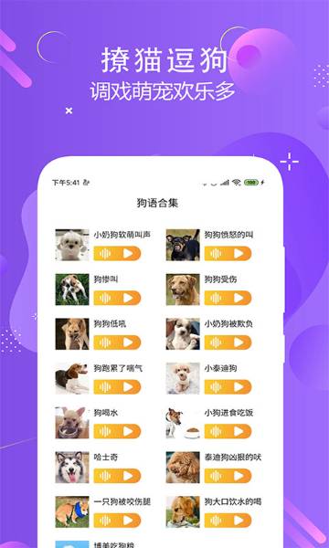 猫狗语言翻译交流器介绍图