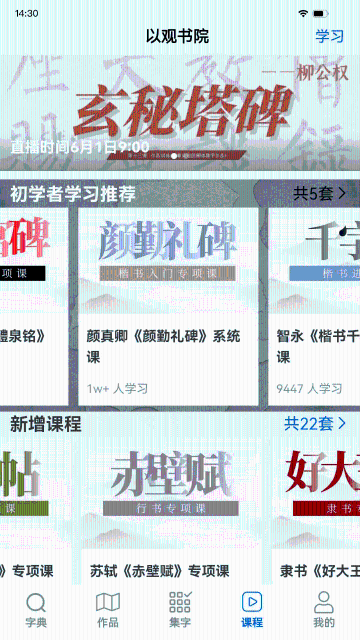 以观书法介绍图