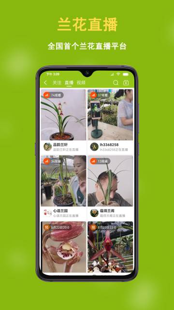 兰花交易网介绍图