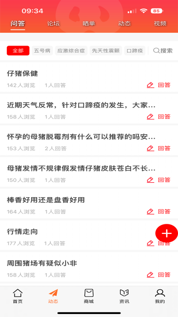 金猪介绍图