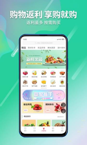 乡猫介绍图