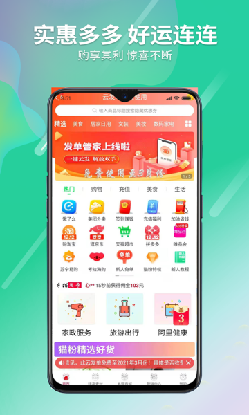乡猫介绍图