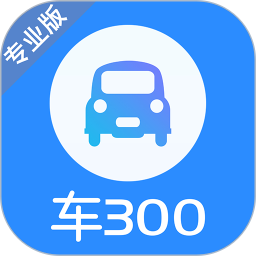 车300专业版