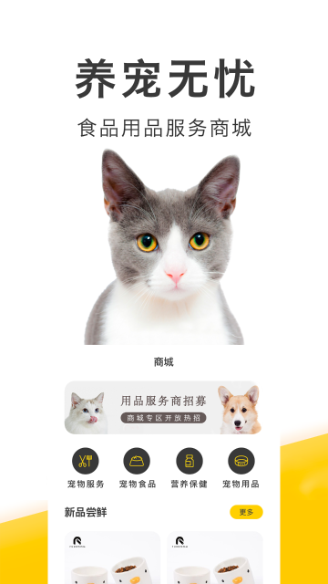 买只宠物介绍图