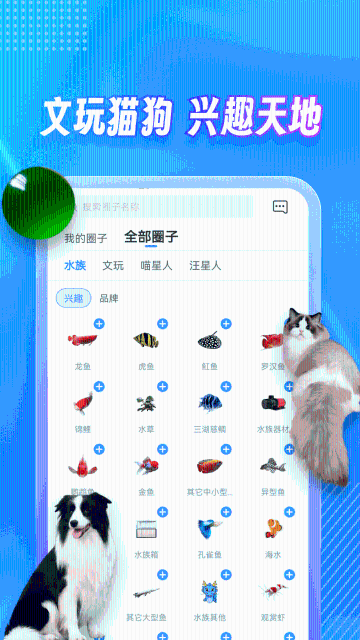 龙巅介绍图