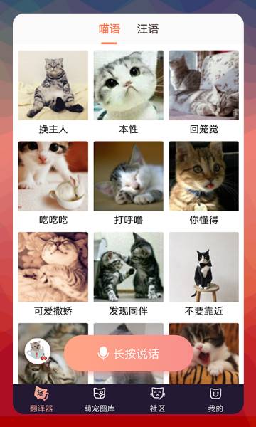 猫语翻译器介绍图