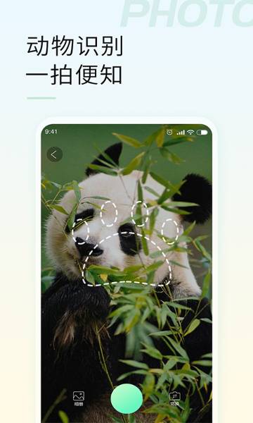 智能拍照识物介绍图