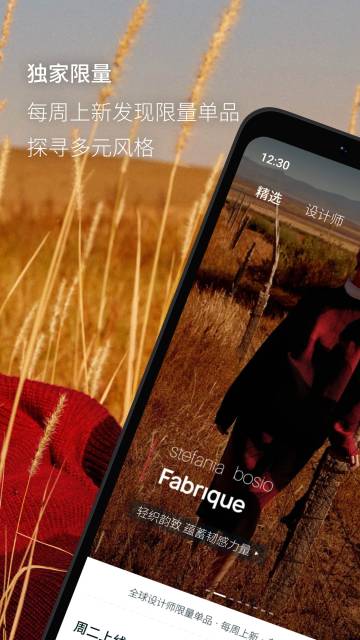 Fabrique介绍图