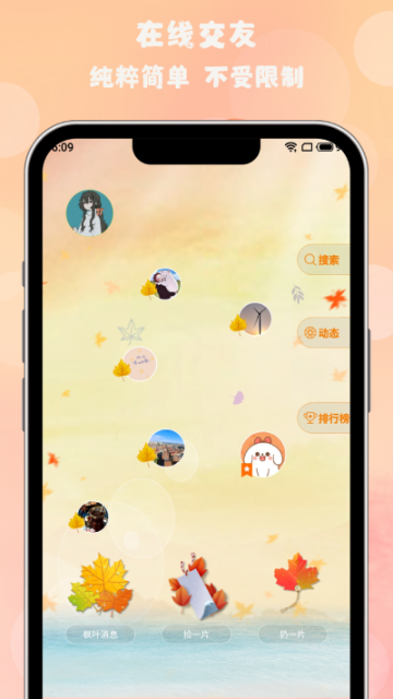 枫叶漂流瓶介绍图
