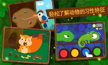 森林动物介绍图