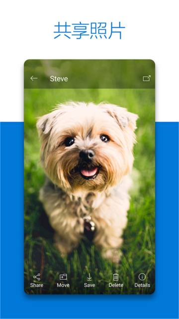 SkyDrive官方版介绍图